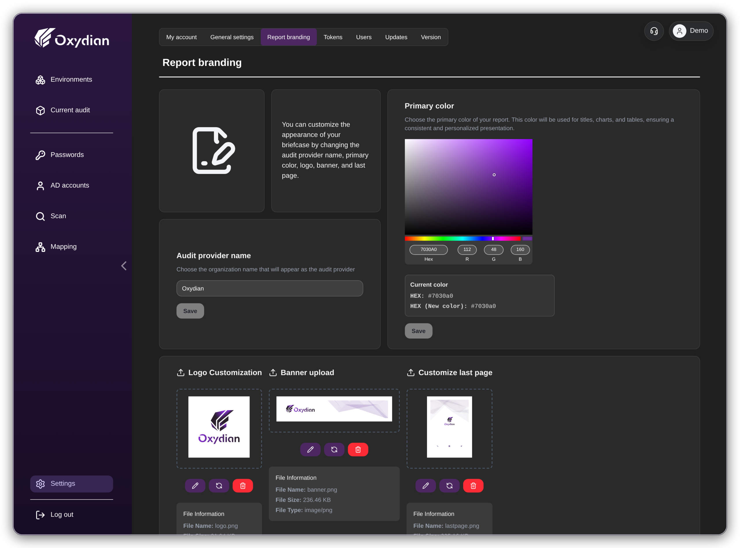 Customising a report in the Oxyscan Valise: colour, logo, banner and final page