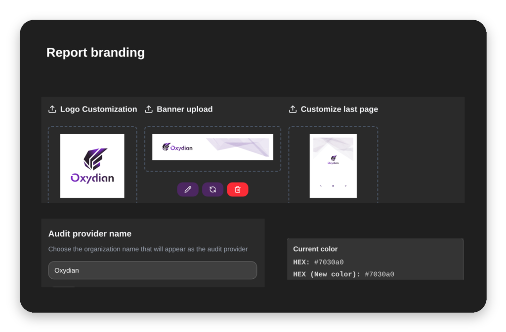 Audit report branding: custom logo, colours and provider name